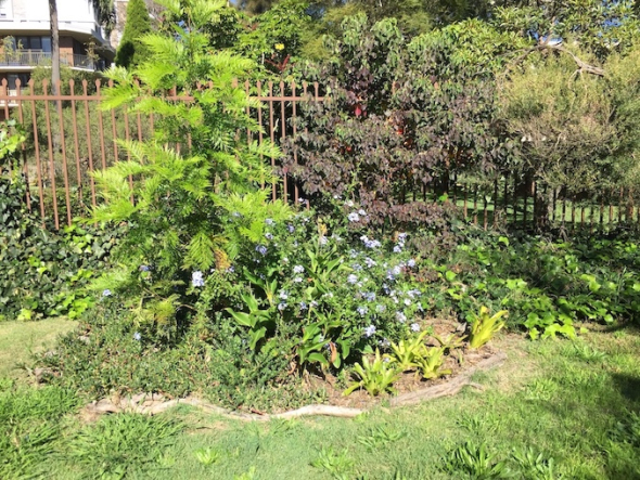 Open space along the boundary