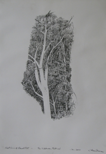 The Spaces Inbetween